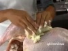 Turkey Porn